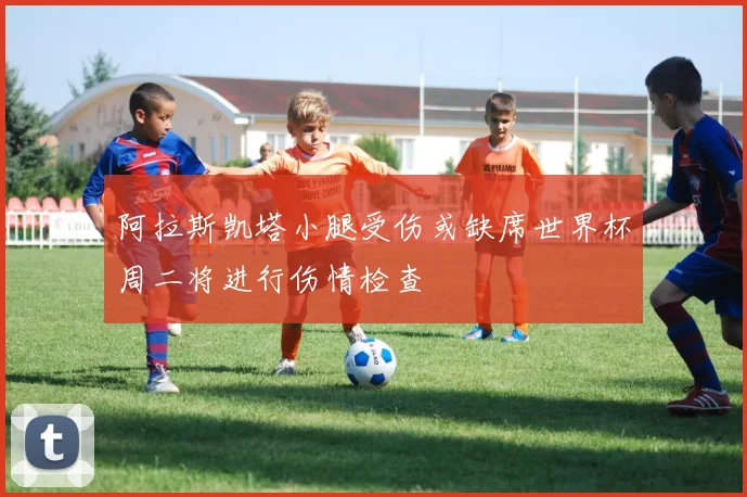 阿拉斯凯塔小腿受伤或缺席世界杯周二将进行伤情检查